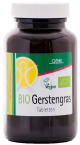 GSE - Gerstegras BIO 240 tabletten