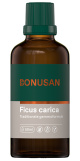 Bonusan - Ficus carica 50 ml tincture Bonusan - Ficus carica 50 ml tincture