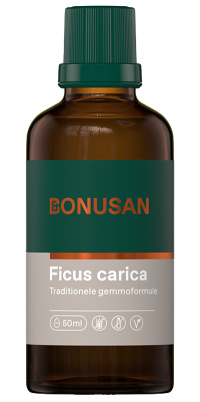 Bonusan - Ficus carica