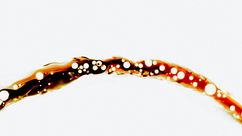 Blog Blood lipids illustration