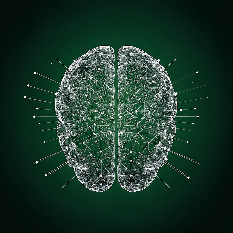 Brain Focus