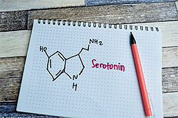 serotonin