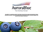 aurorablue aurorablue