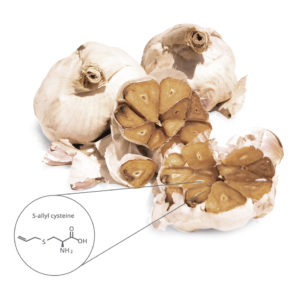 Black Garlic Black Garlic