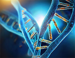 DNA