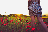 woman in poppy field
