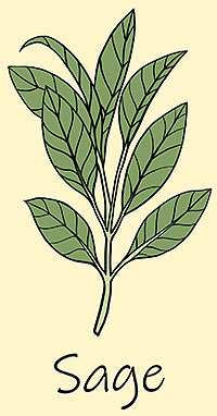 Sage Sage