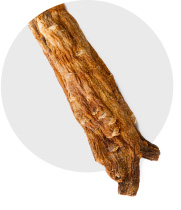 Korean Red Ginseng Root Korean Red Ginseng Root