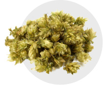 Griekse berg Thee extract Griekse berg Thee extract