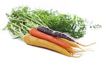 Rainbow Carrots Rainbow Carrots