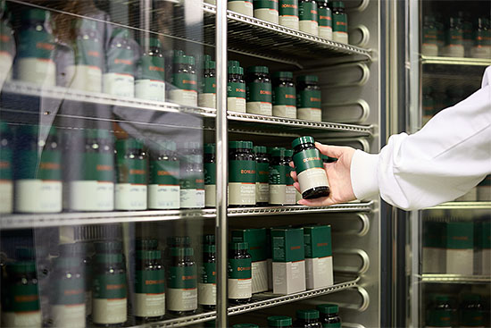 Bonusan production plant