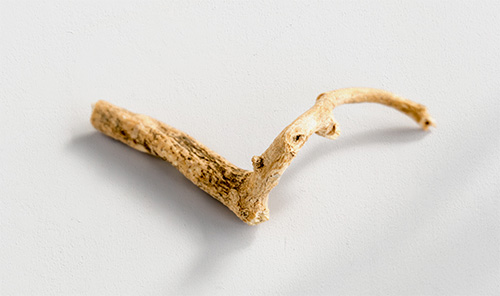 Ashwagandha Ashwagandha