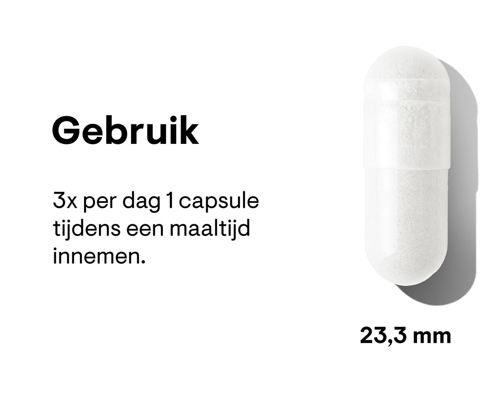 acetyl-l-carnitine-60-capsules