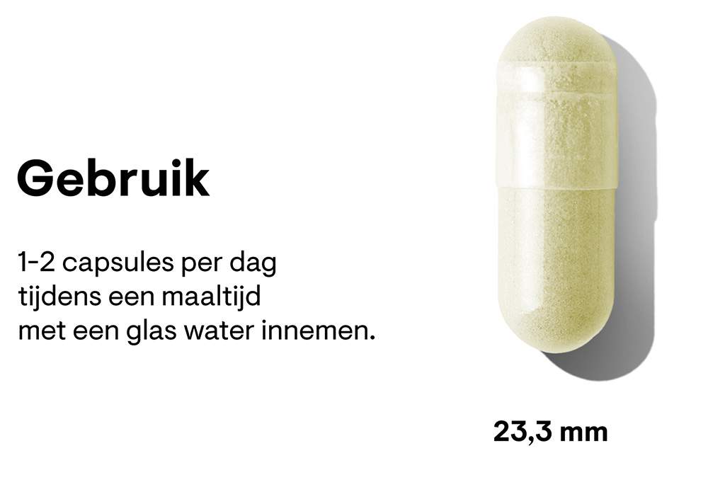broccoli-seed-extract