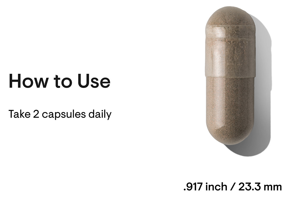 ginseng-plus