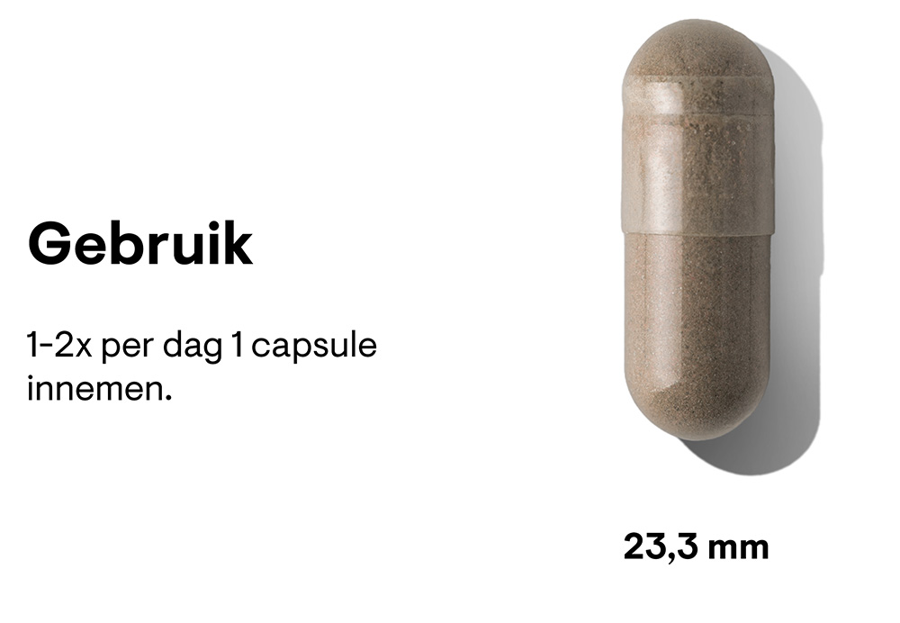 ginseng-plus