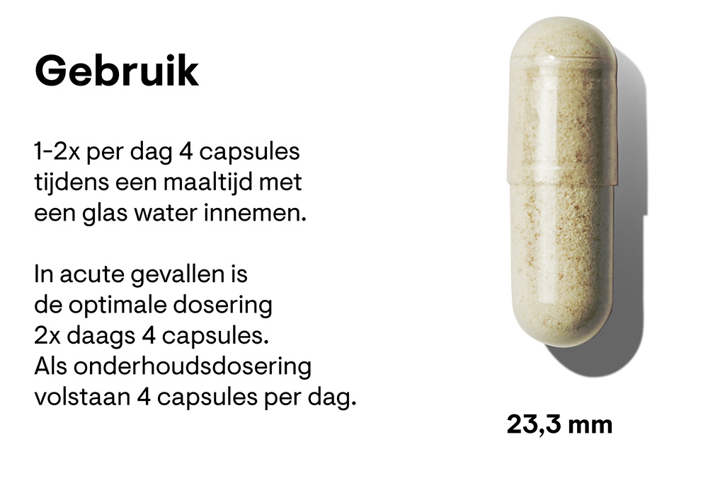 joint-support-nutrients
