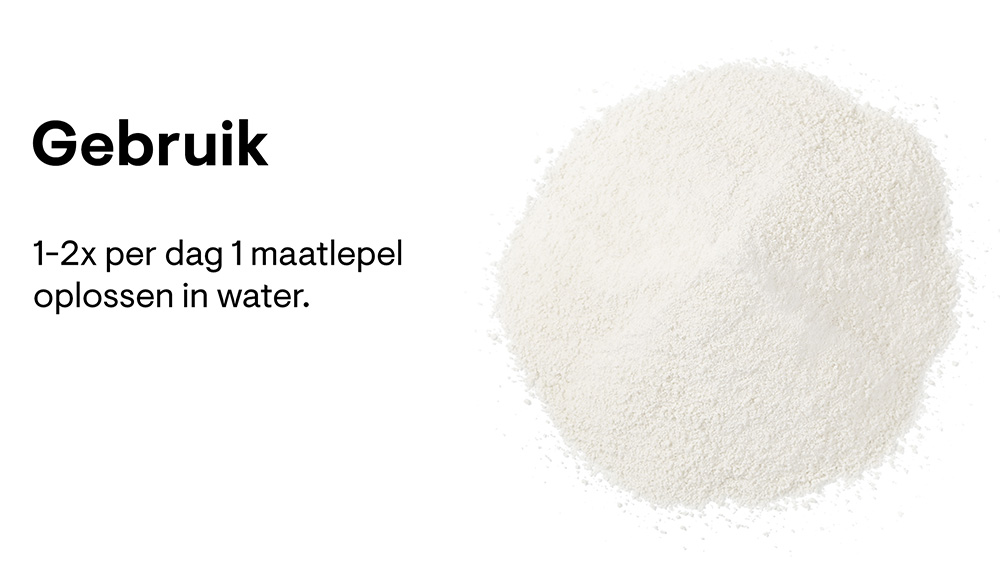 l-glutamine-powder