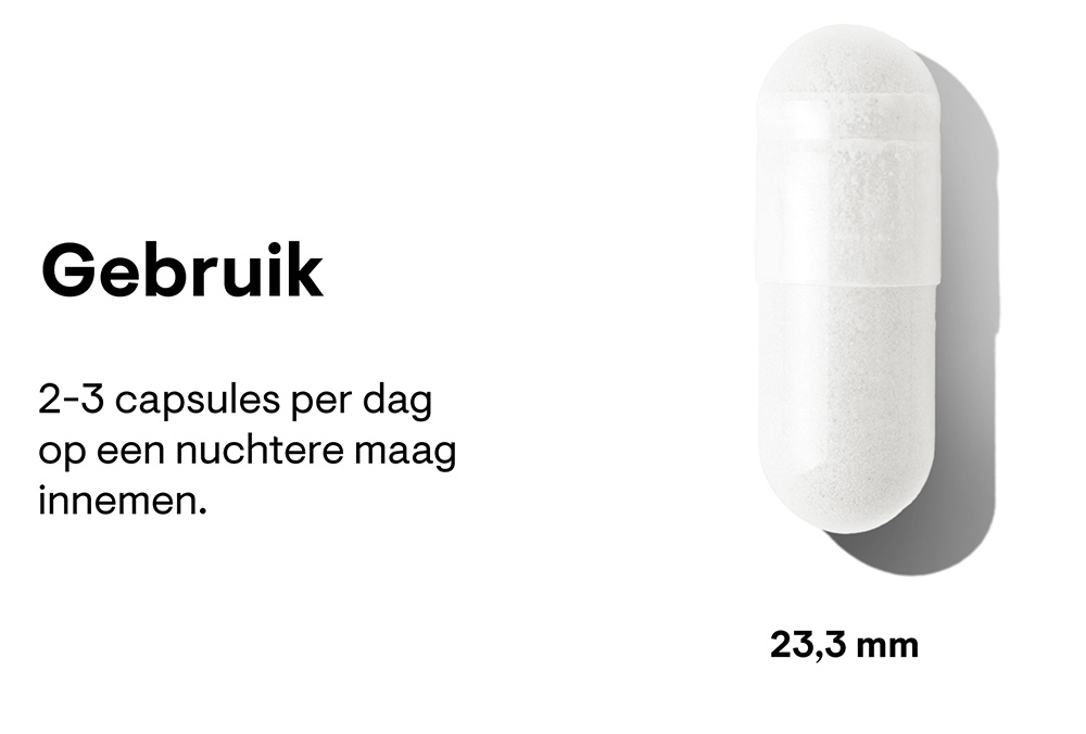 lysine