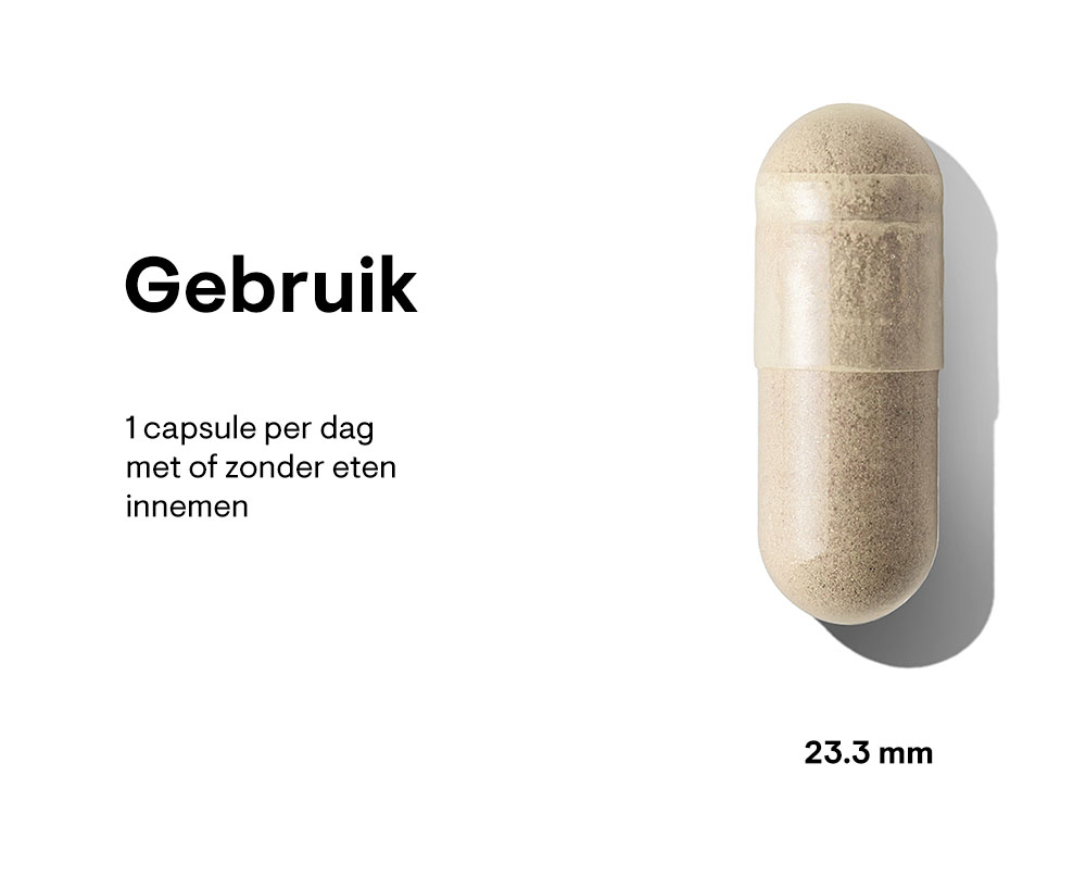 Women's Daily Probiotic