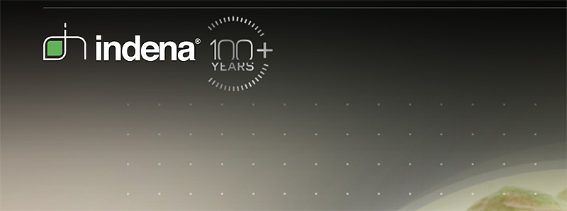 Indena 100 years logo Indena 100 years logo