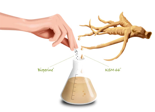 KSM-66&reg; + BioPerine&reg;