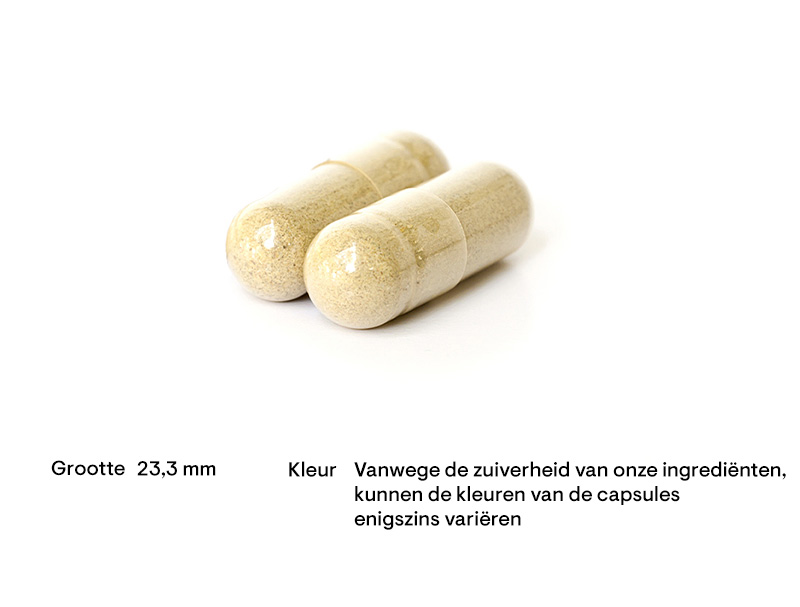 Resveracel capsules Resveracel capsules