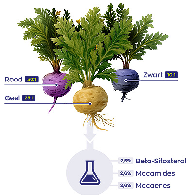 Vitakruid Maca-3 scheme Vitakruid Maca-3 scheme