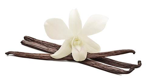 Vanilla