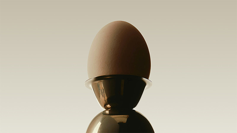 Plant proteins vs. animal proteins