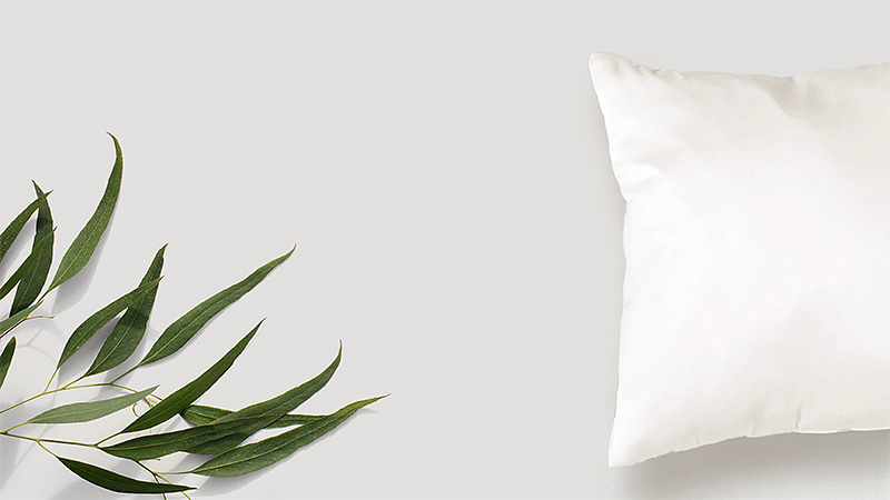 De connectie tussen darmgezondheid en slaapkwaliteit