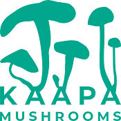 KAAPA Mushrooms